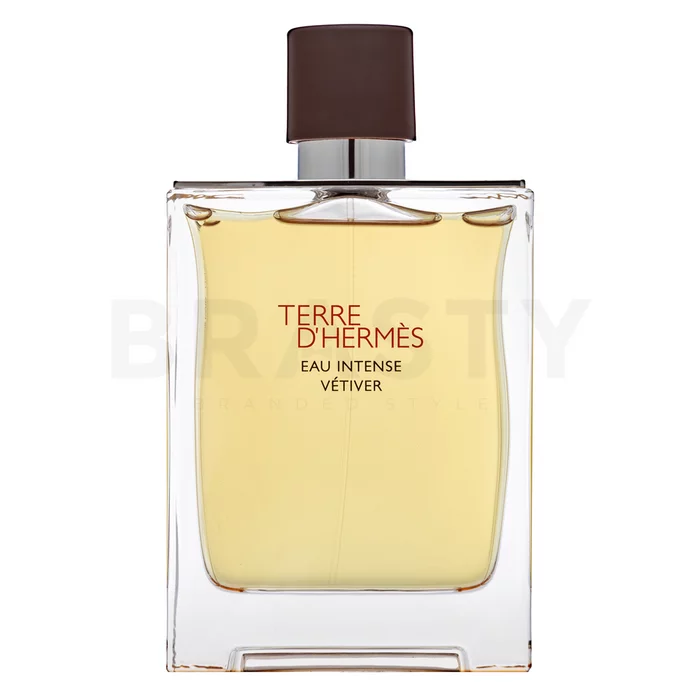 Hermès Terre D'Hermes Eau Intense Vetiver parfémovaná voda pre mužov 200 ml