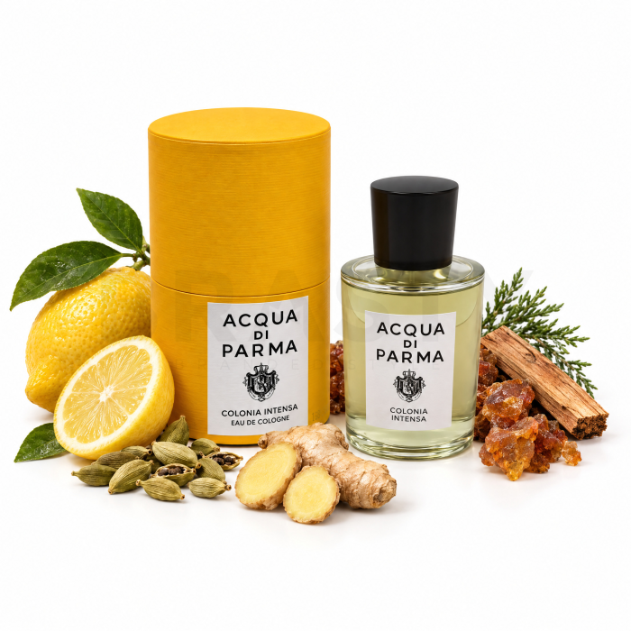 Acqua di Parma Colonia Intensa kolínská voda pro muže 100 ml