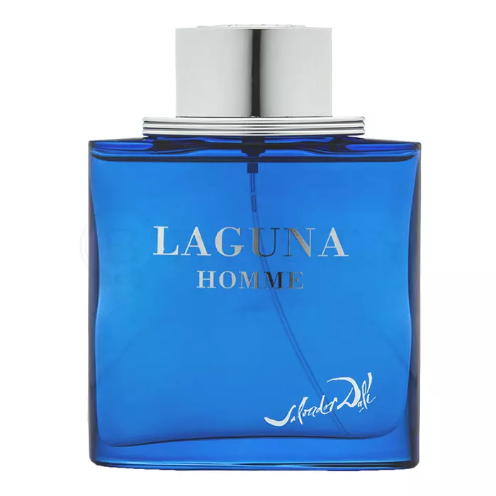 Salvador Dali Laguna Homme Eau de Toilette férfiaknak 100 ml