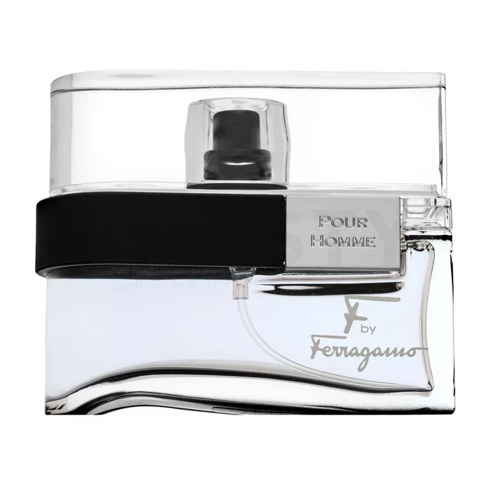 Salvatore Ferragamo F by Ferragamo Pour Homme Black Eau de Toilette voor mannen 30 ml