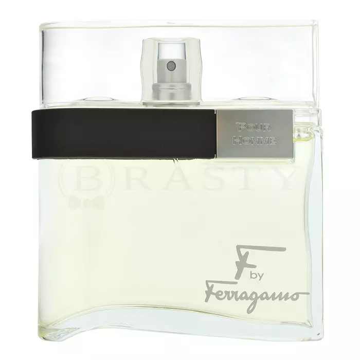 Salvatore Ferragamo F by Ferragamo Pour Homme Eau de Toilette voor mannen 100 ml