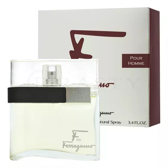 Salvatore Ferragamo F by Ferragamo Pour Homme Eau de Toilette voor mannen 100 ml