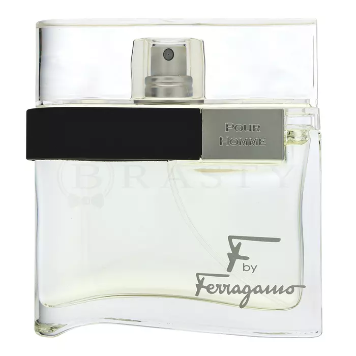 Salvatore Ferragamo F by Ferragamo Pour Homme Eau de Toilette voor mannen 50 ml