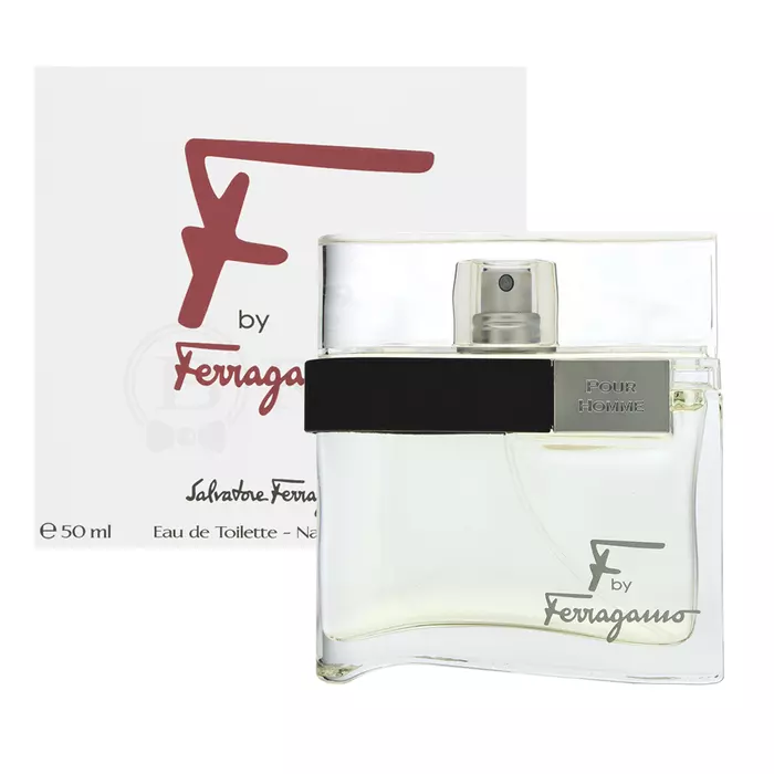 Salvatore Ferragamo F by Ferragamo Pour Homme Eau de Toilette voor mannen 50 ml