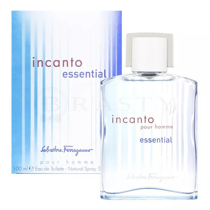 Salvatore Ferragamo Incanto Essential pour Homme toaletna voda za muškarce 100 ml
