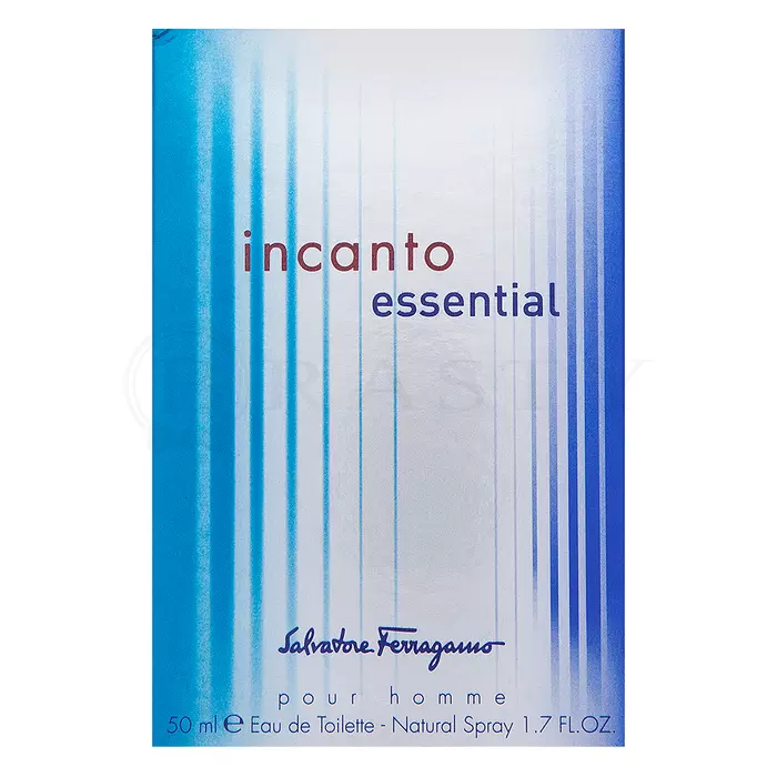 Salvatore Ferragamo Incanto Essential pour Homme toaletní voda pro muže 50 ml