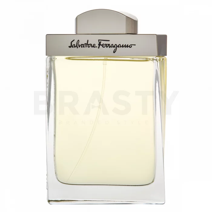 Salvatore Ferragamo Pour Homme Eau de Toilette for men 100 ml
