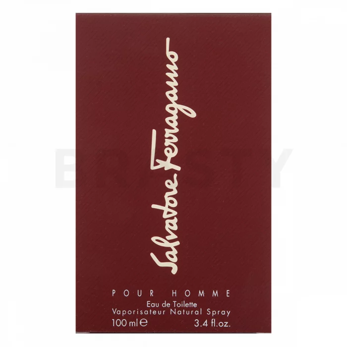 Salvatore Ferragamo Pour Homme Eau de Toilette for men 100 ml