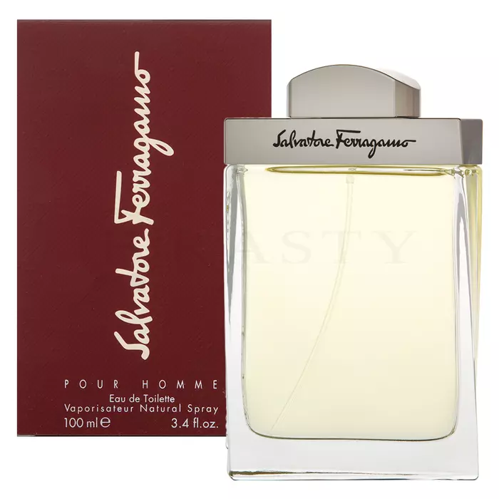 Salvatore Ferragamo Pour Homme Eau de Toilette for men 100 ml