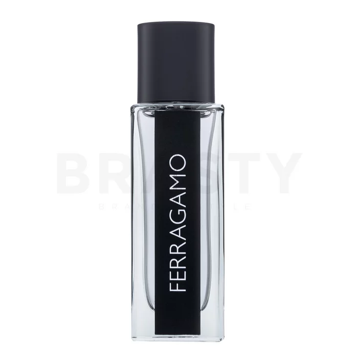 Salvatore Ferragamo Ferragamo toaletná voda pre mužov 30 ml