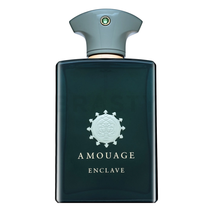 Amouage Enclave Eau de Parfum férfiaknak 100 ml