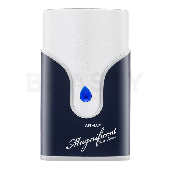 Armaf Magnificent Blue Pour Homme parfémovaná voda pre mužov 100 ml