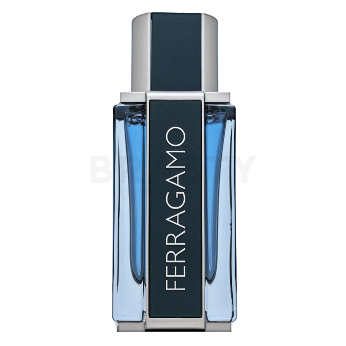 Salvatore Ferragamo Intense Leather parfumirana voda za moške 50 ml