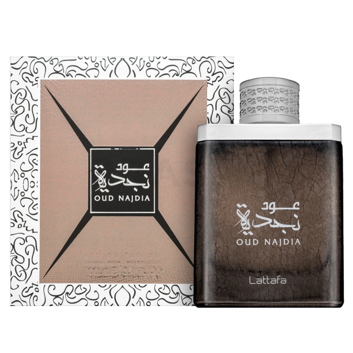 Lattafa Oud Najdia parfémovaná voda pro muže 100 ml