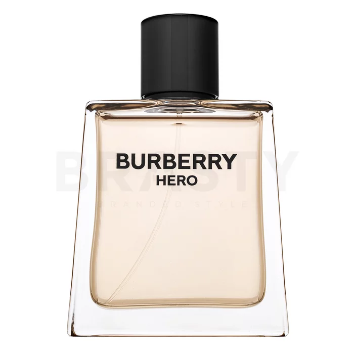 Burberry Hero toaletní voda pro muže 100 ml