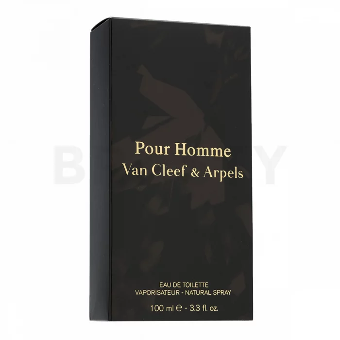 Van Cleef & Arpels Pour Homme woda toaletowa dla mężczyzn 100 ml