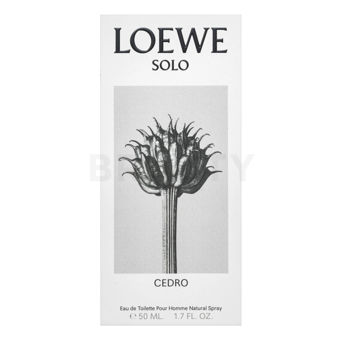 Loewe Solo Cedro woda toaletowa dla mężczyzn 50 ml