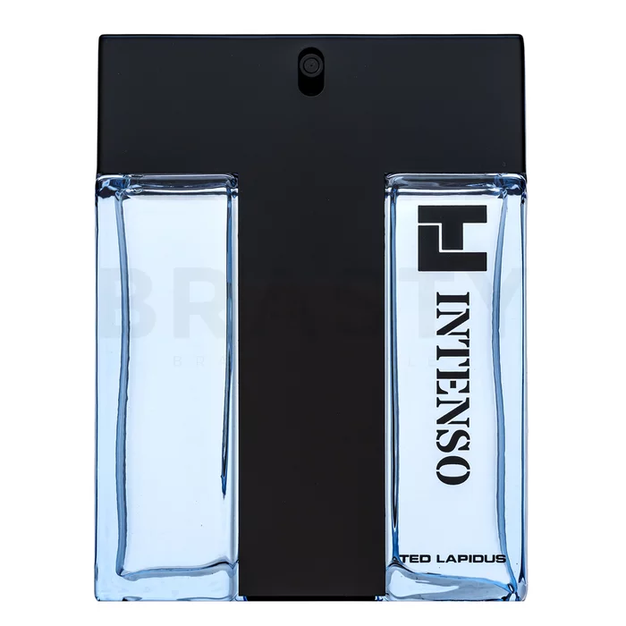 Ted Lapidus Intenso Eau de Toilette férfiaknak 100 ml