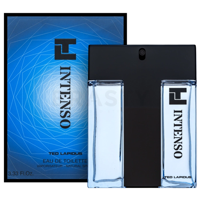 Ted Lapidus Intenso Eau de Toilette férfiaknak 100 ml