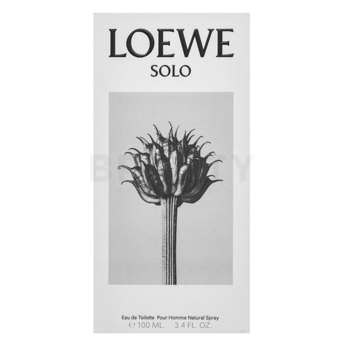 Loewe Solo Loewe Pour Homme Eau de Toilette voor mannen 100 ml