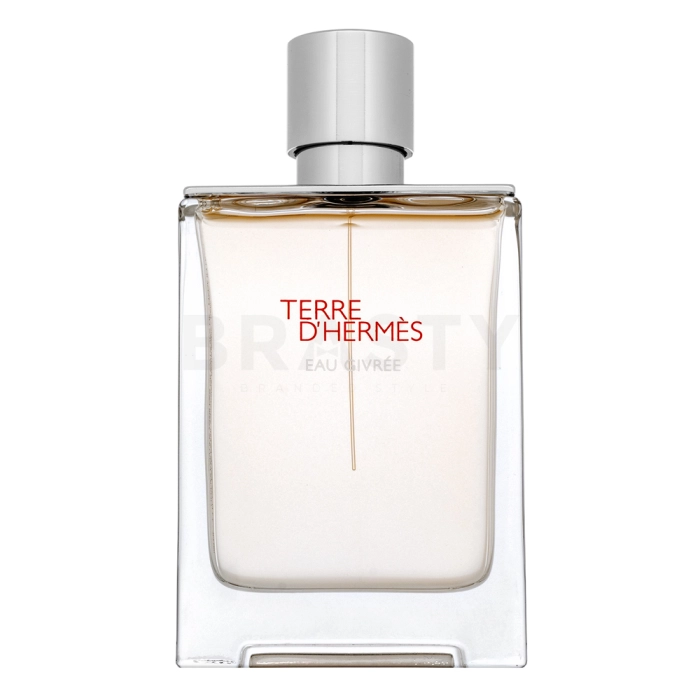 Hermès Terre d’Hermès Eau Givrée - Refillable Eau de Parfum voor mannen 100 ml