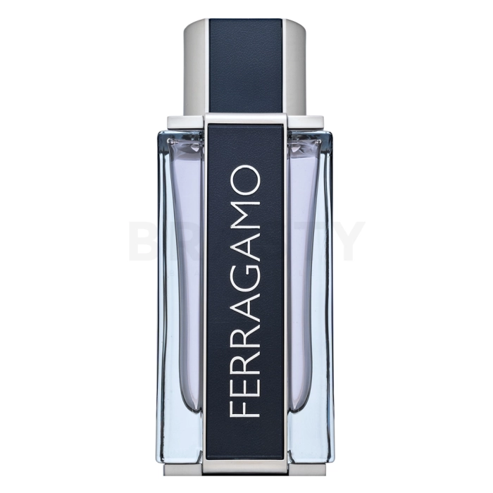 Salvatore Ferragamo Ferragamo Eau de Toilette voor mannen 100 ml