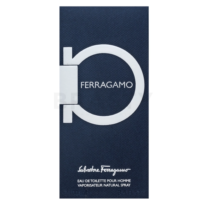 Salvatore Ferragamo Ferragamo Eau de Toilette voor mannen 100 ml
