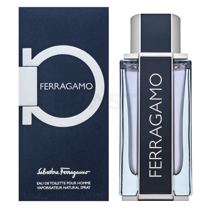 Salvatore Ferragamo Ferragamo Eau de Toilette voor mannen 100 ml