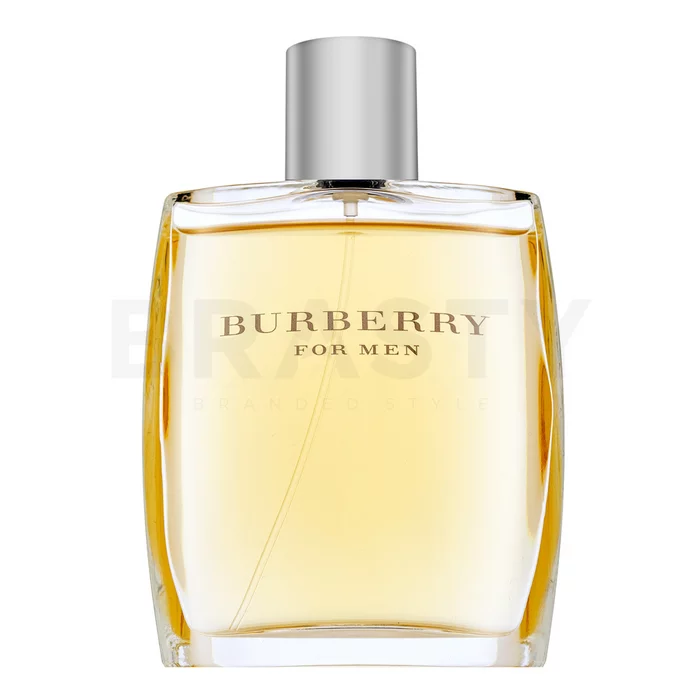 Burberry For Men woda toaletowa dla mężczyzn 100 ml