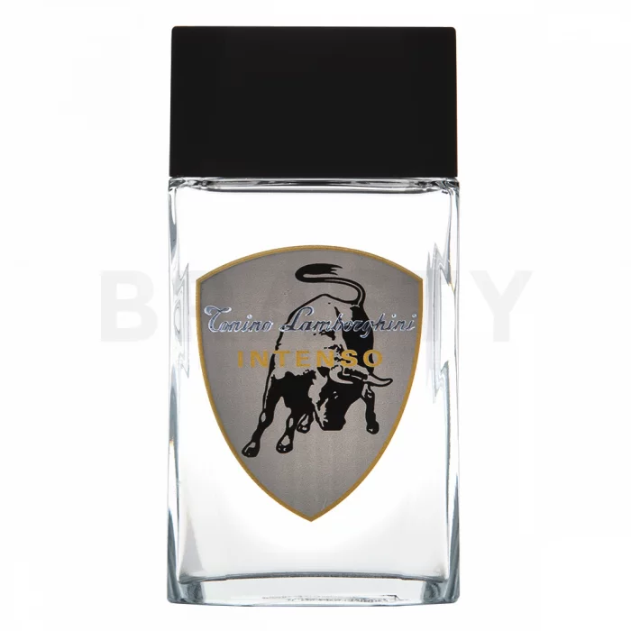 Tonino Lamborghini Intenso woda po goleniu dla mężczyzn 100 ml