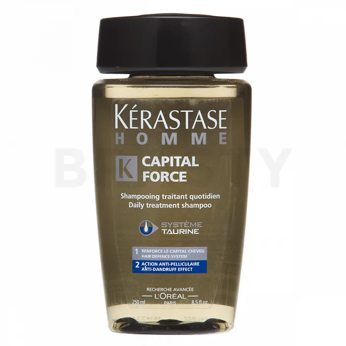 Kérastase Homme Daily Treatment Shampoo szampon przeciw łupieżowi 250 ml