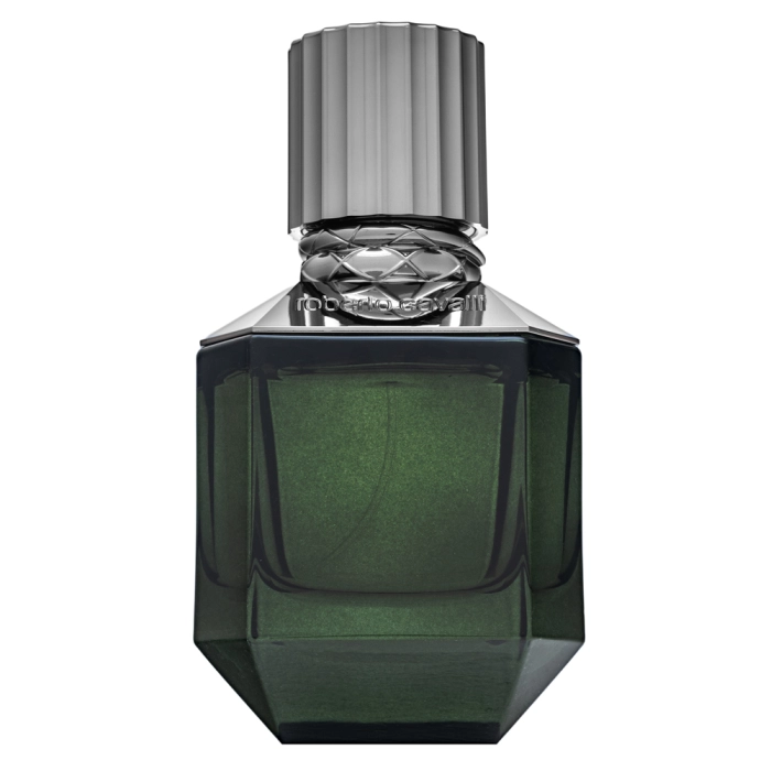 Roberto Cavalli Paradise Found Eau de Toilette da uomo 50 ml | BRASTY.IT