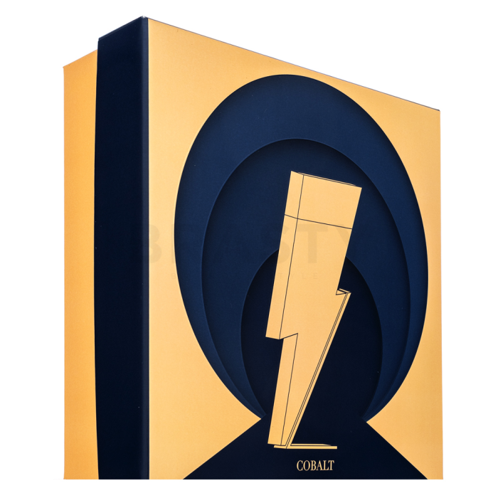 Carolina Herrera Bad Boy Cobalt darčeková sada pre mužov Set II. 100 ml