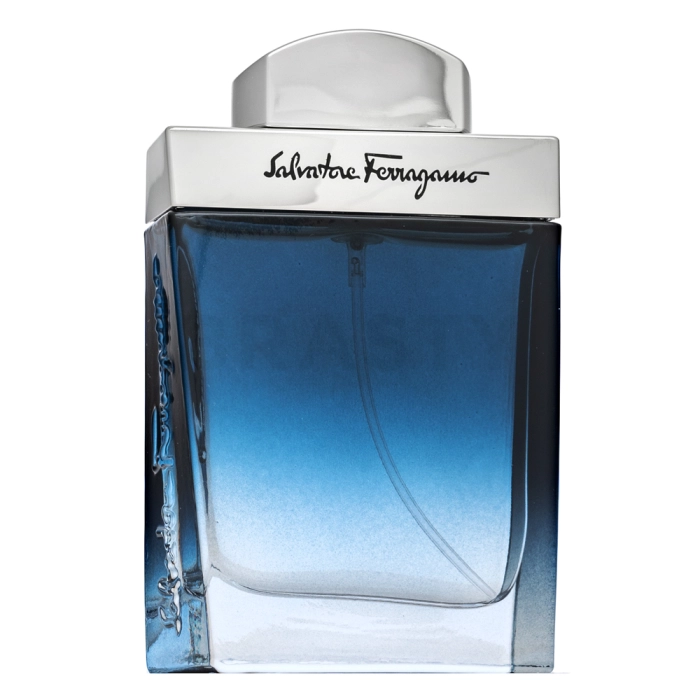 Salvatore Ferragamo Subtil Pour Homme Eau de Toilette da uomo 30 ml