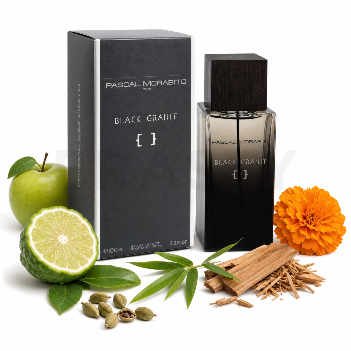 Pascal Morabito Black Granit toaletní voda pro muže 100 ml