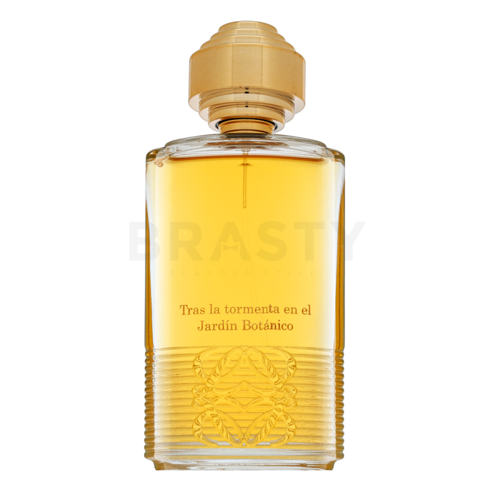 Loewe Tras La Tormenta Jardin Botanico Eau de Parfum unisex 100 ml