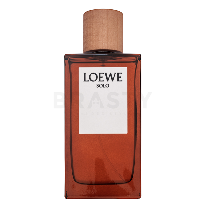 Loewe Solo Loewe Pour Homme Eau de Toilette voor mannen 150 ml