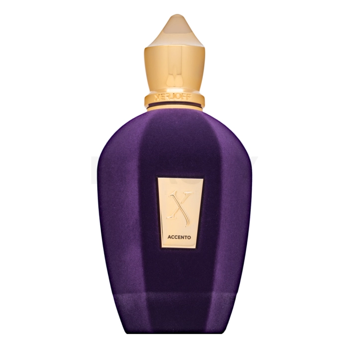 Xerjoff Accento parfémovaná voda unisex Extra Offer 4 100 ml