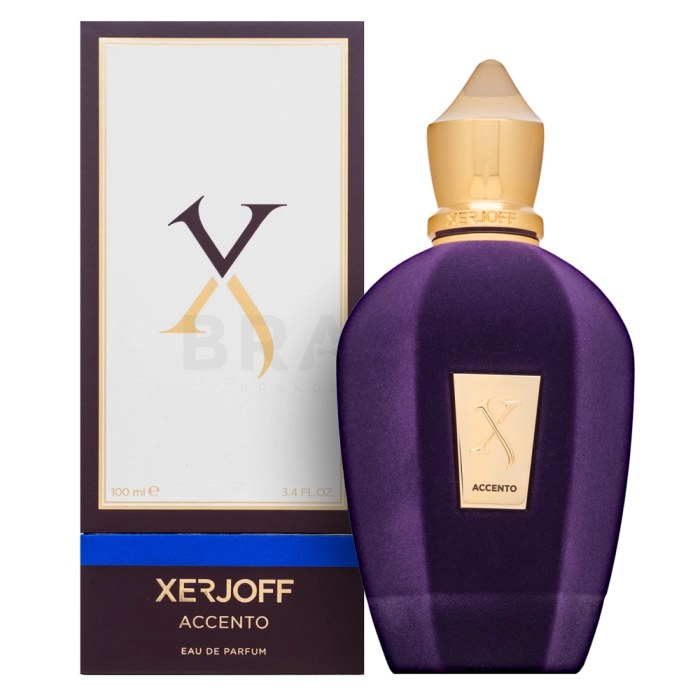 Xerjoff Accento parfémovaná voda unisex Extra Offer 4 100 ml