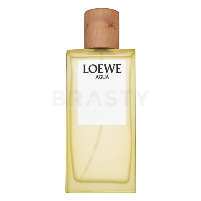 loewe agua de loewe woda toaletowa 100 ml    uszkodzony 