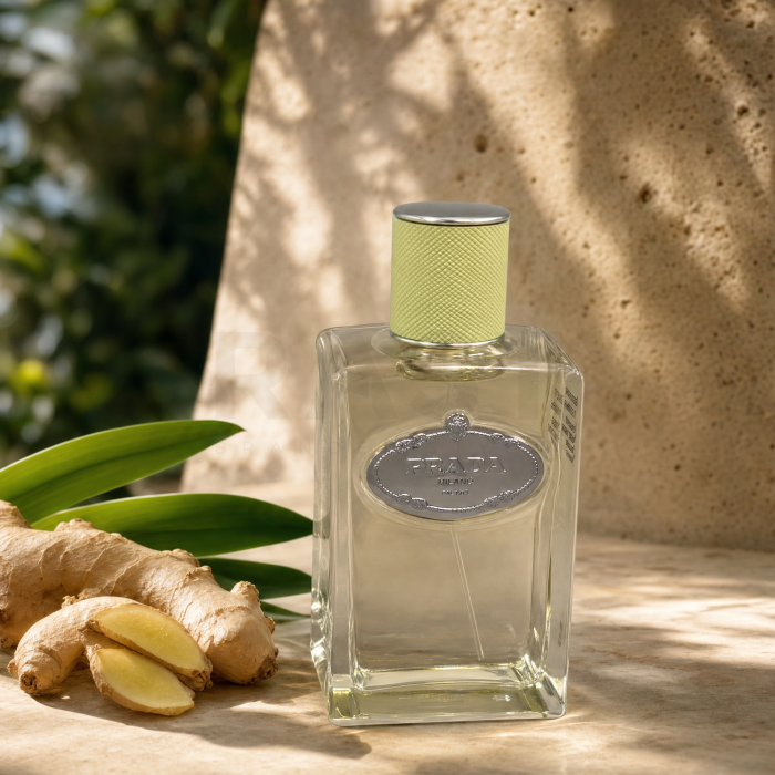Prada Infusion De Gingembre parfémovaná voda unisex 100 ml