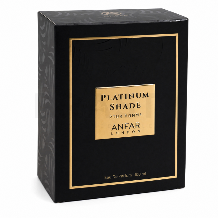 Anfar Platinum Shade parfémovaná voda pro muže 100 ml