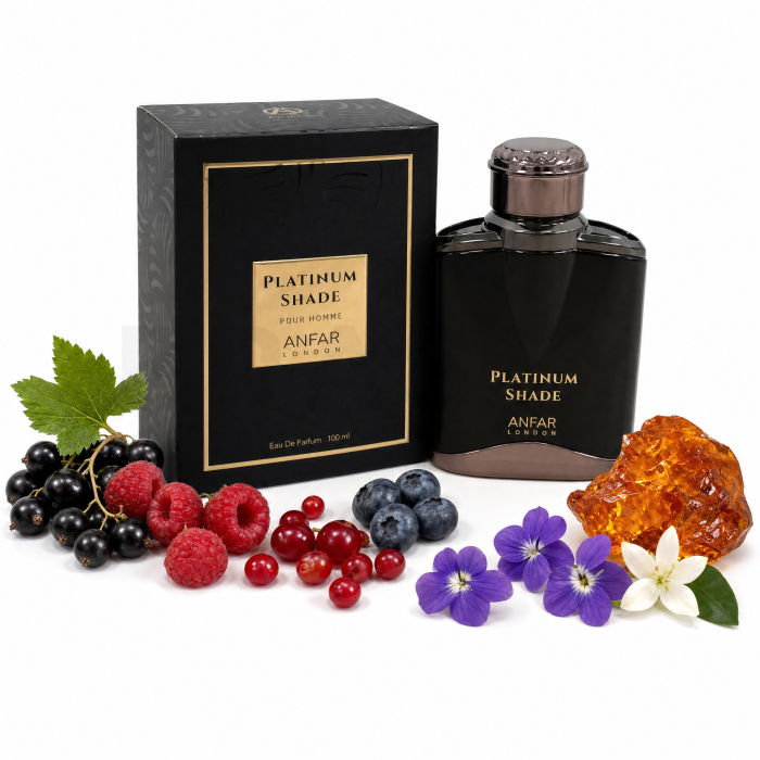 Anfar Platinum Shade parfémovaná voda pro muže 100 ml