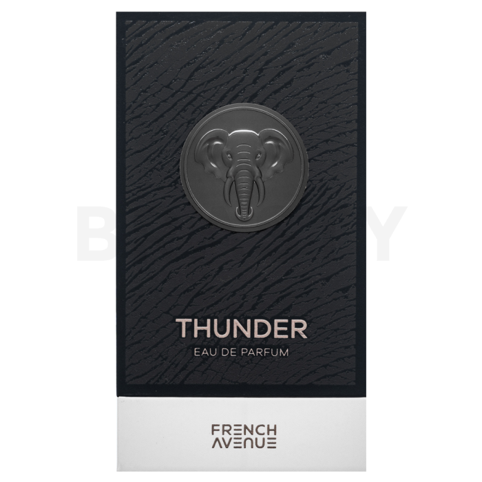 French Avenue Thunder Eau de Parfum bărbați 100 ml