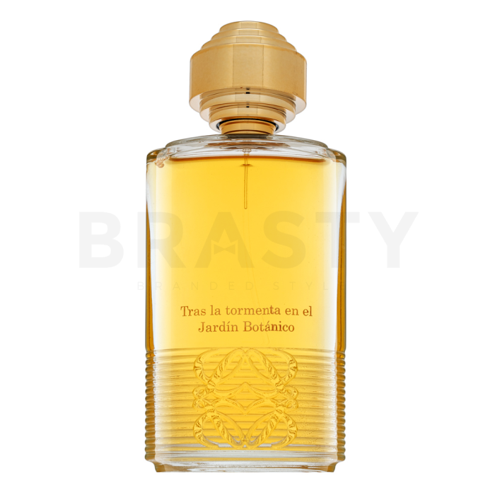 Loewe Tras La Tormenta Jardin Botanico Eau de Parfum unisex Extra Offer 4 100 ml
