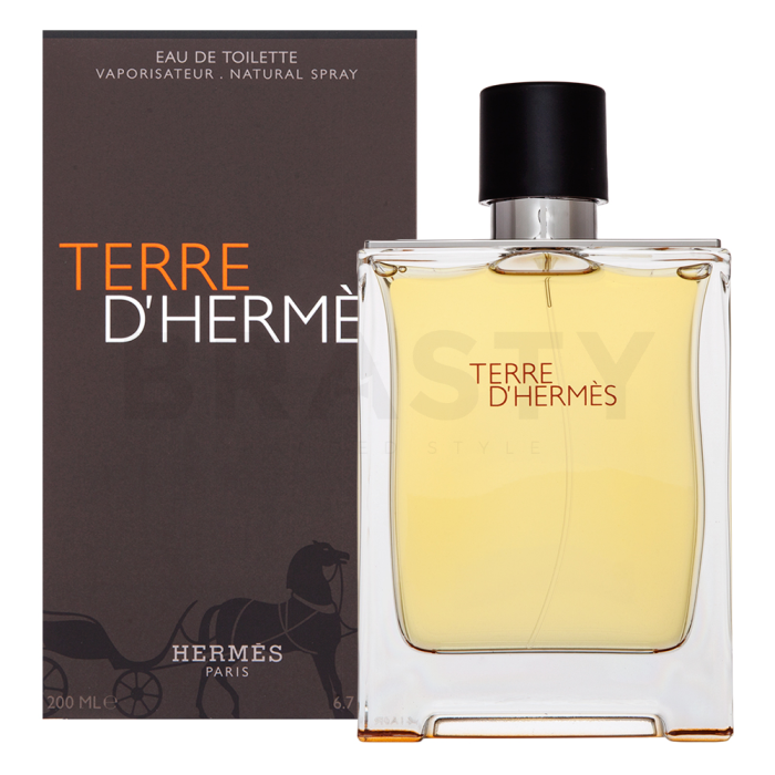 Hermès Terre D'Hermes Eau de Toilette bărbați Extra Offer 4 200 ml