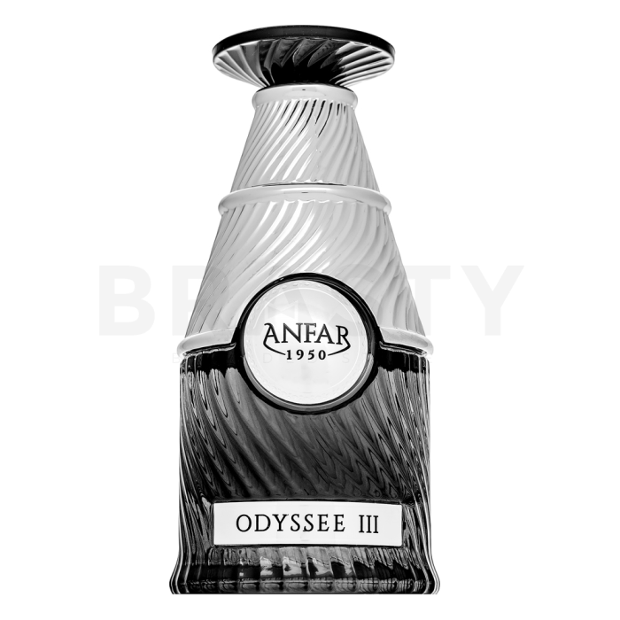 Anfar Odyssee III čistý parfém pro muže Extra Offer 2 100 ml