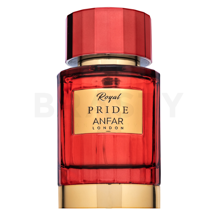 Anfar Royal Pride čistý parfém pro muže Extra Offer 2 100 ml