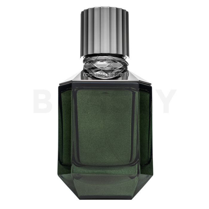 Roberto Cavalli Paradise Found toaletná voda pre mužov Extra Offer 2 75 ml