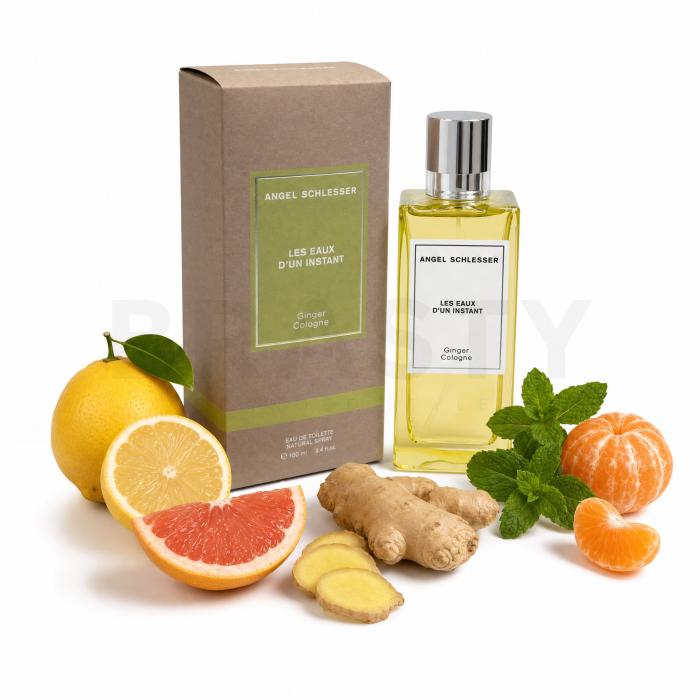 Angel Schlesser Les Eaux D'Un Instant Ginger Cologne Eau de Toilette unisex 100 ml